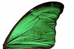 WhatsApp Image 2025-09-19 at 13.11.24 (1)