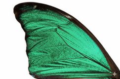 WhatsApp Image 2025-09-19 at 13.11.24 (2)