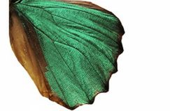 WhatsApp Image 2025-09-19 at 13.11.24